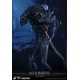 Aliens Movie Masterpiece Action Figure 1/6 Alien Warrior 35 cm